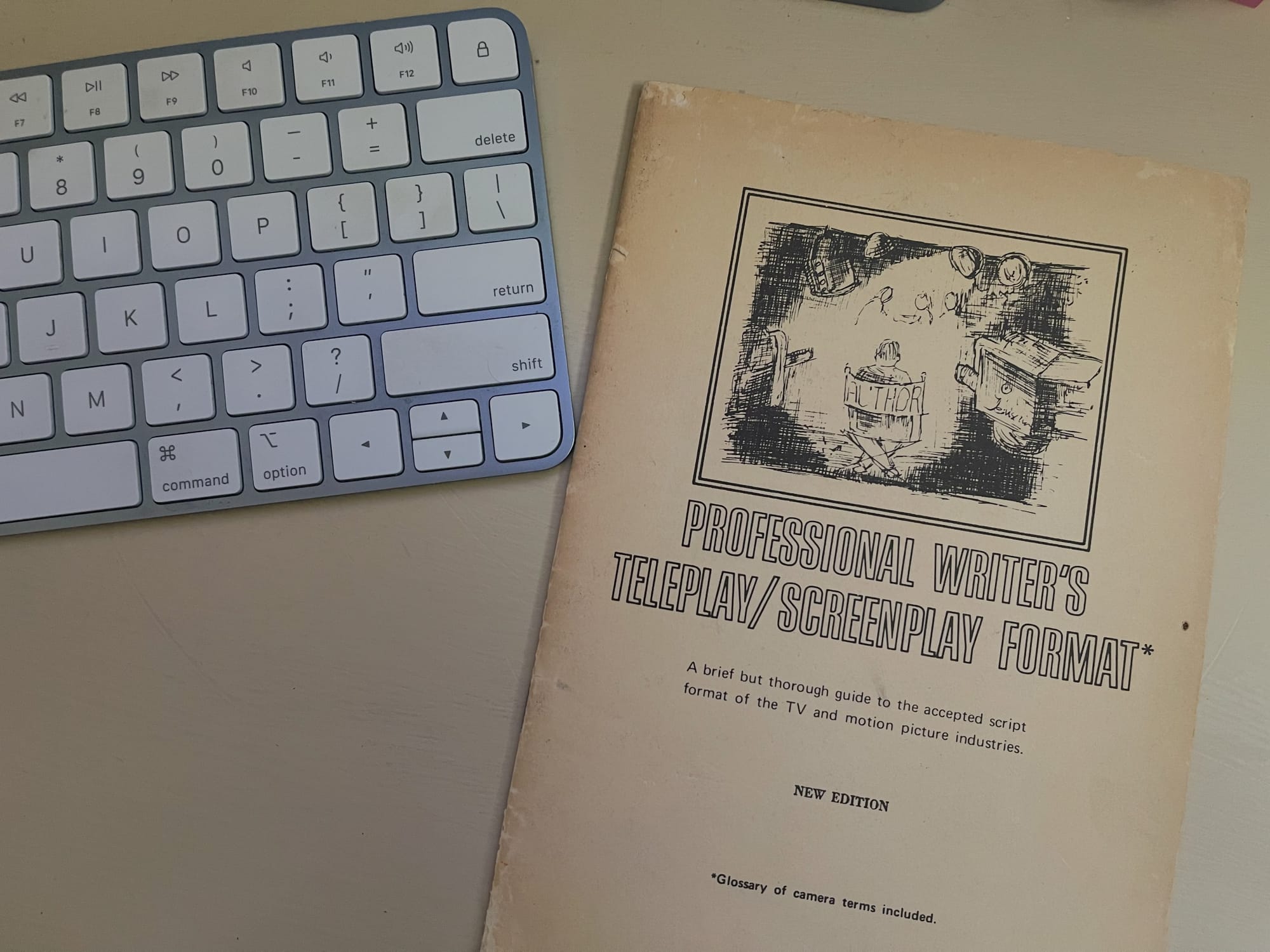 Close-up of PROFESSIONAL WRITER'S TELEPLAY/SCREENPLAY FORMAT pamphlet.